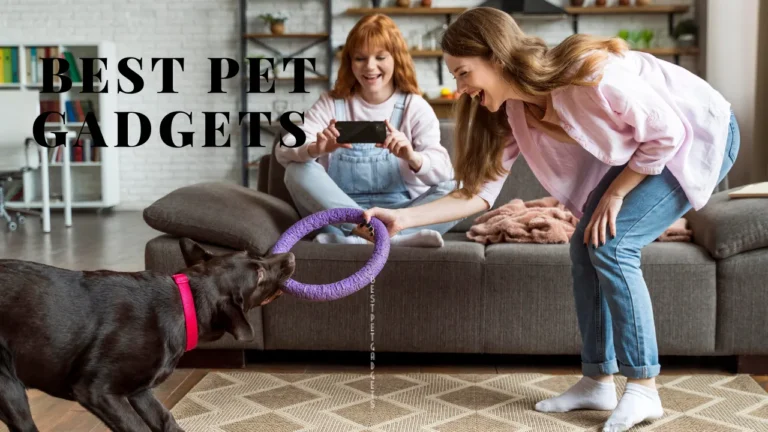 BEST PET GADGETS EVERY PET OWNER SHOULD KNOW